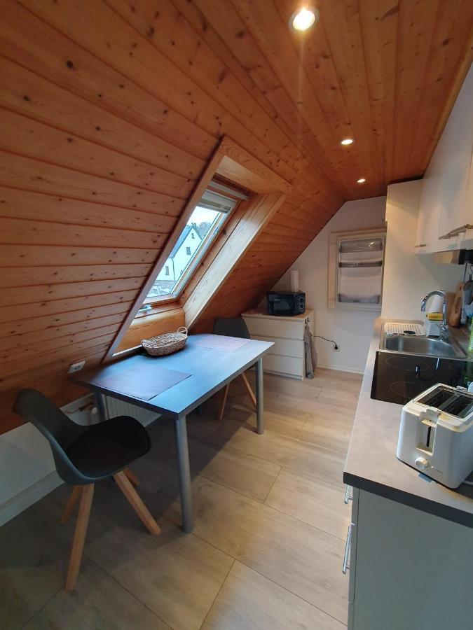 Ferienwohnung Haenel Antonshohe Eksteriør bilde